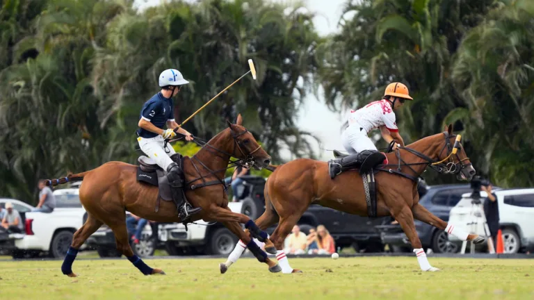 Polo : un documentaire sportif royal à découvrir sur Netflix en décembre