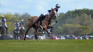 Polo - Série documentaire (Saison 1)