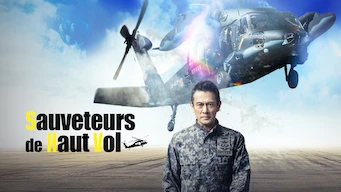 Sauveteurs de haut vol - Série