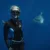 Après La sagesse de la pieuvre, Netflix plonge avec En paix avec les requins