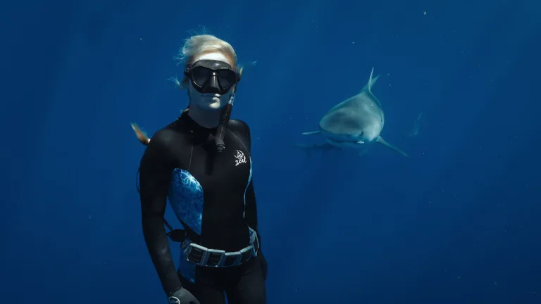 Après La sagesse de la pieuvre, Netflix plonge En paix avec les requins