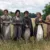 Orgueil et Préjugés : premiers visuels et début de tournage confirmés pour la série Netflix (Pride and Prejudice)