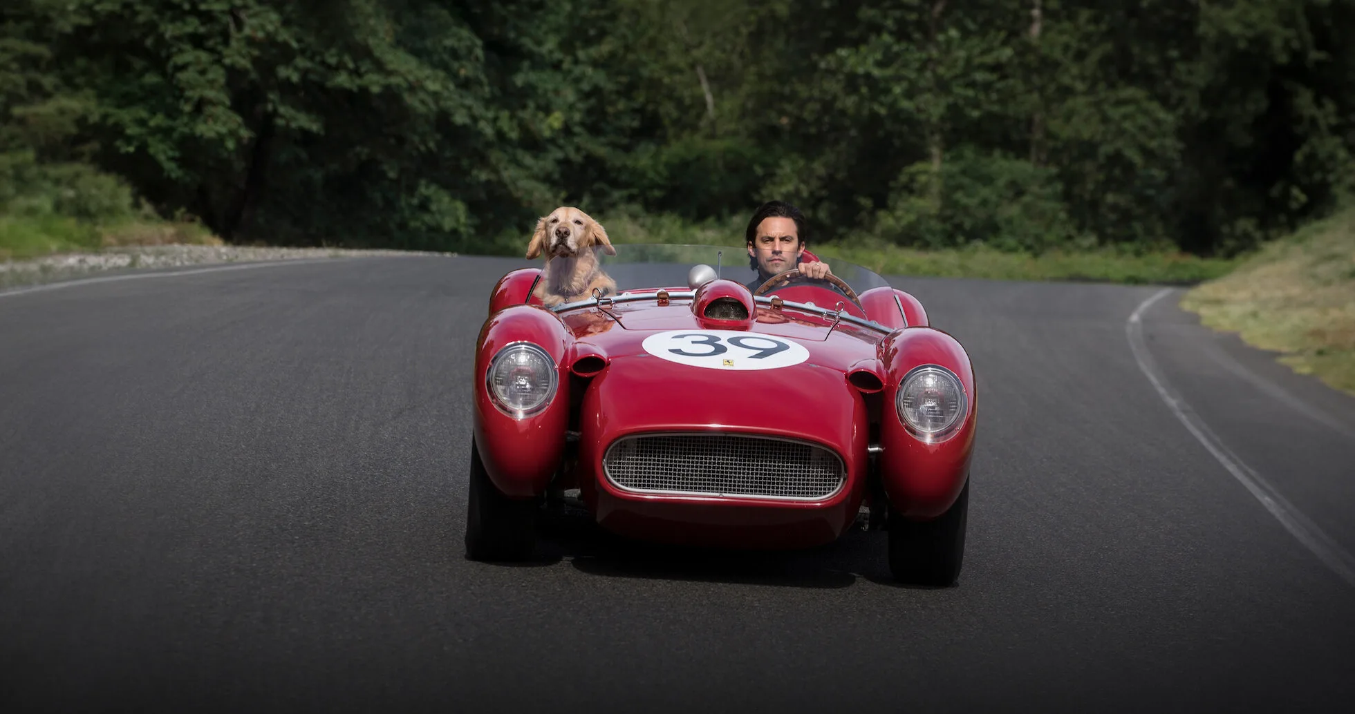 The Art of Racing in the Rain - The Art of Racing in the Rain (Dans les yeux d’Enzo) : le drame animalier se place en 7e position du Top Netflix