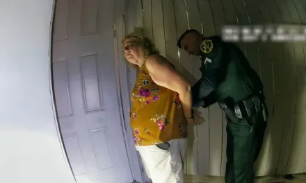 La voisine idéale : un cauchemar de voisinage bientôt sur Netflix (Nouveautés True Crime)