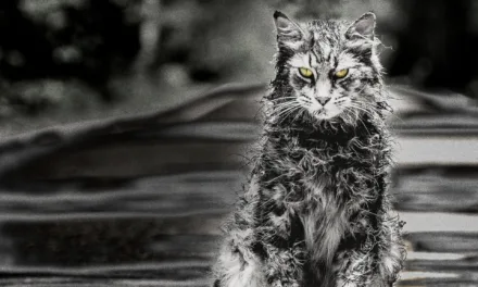 Simetierre : l’adaptation du roman de Stephen King arrive sur Netflix le 20 mars