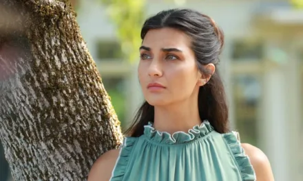 Le chemin de l’olivier saison 3 sur Netflix : date de sortie, casting et ce que prépare la dernière saison