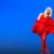 Kylie Minogue arrive sur Netflix avec Tension Tour Live, un concert événement annoncé pour le 27 mai