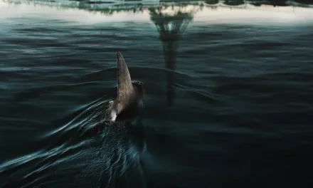 Sous la Seine 2 sur Netflix : la suite du film de requins français est officiellement lancée