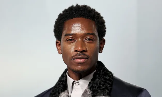The Lords’ Day sur Netflix : Damson Idris entouré de stars de Bridgerton et Game of Thrones pour un thriller au Parlement