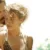Last days of summer : Kate Winslet et Josh Brolin dans le mélo de Jason Reitman, sur Netflix