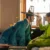 The Scandal sur Netflix : Son Ye-jin et Ji Chang-wook s’affrontent dans un jeu de séduction dès septembre 2026