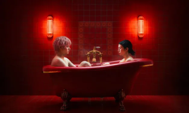 Un an à vivre, un homme à acheter sur Netflix : la romance japonaise avec Ko Shibasaki arrive le 5 novembre 2026