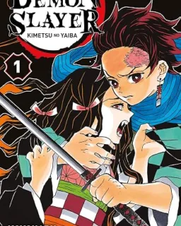 Demon Slayer T01 (manga)
