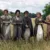 Orgueil et Préjugés sur Netflix : la bande-annonce confirme l’arrivée de la série le 3 décembre