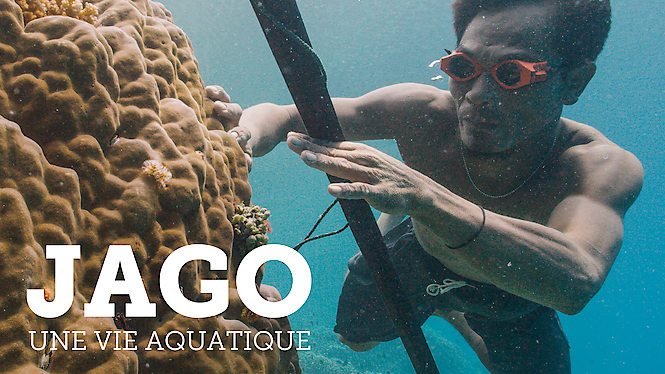 Jago : une vie aquatique