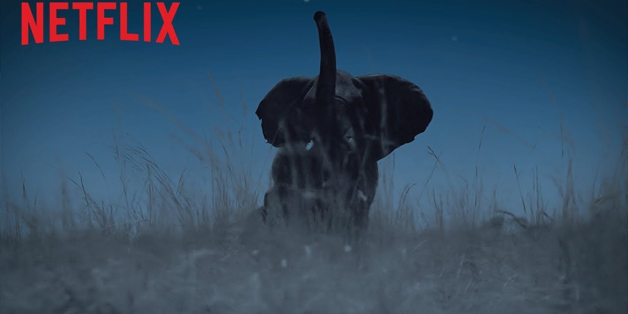 La Terre, la nuit :  la mini-série lève le voile sur le monde des ténèbres (sur Netflix)