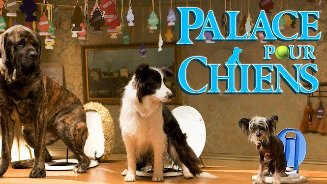Palace pour chiens