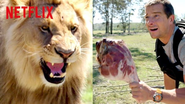 bear grylls chased by a lion animals on the loose a you vs wild movie netflix futures youtube thumbnail 600x338 - Away