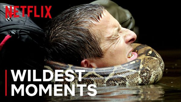 bears wildest moments animals on the loose a you vs wild movie netflix futures youtube thumbnail 600x338 - La Môme