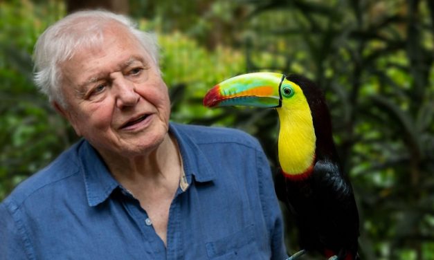 La vie en couleurs avec David Attenborough : la Terre célébrée dans une nouvelle série documentaire Netflix