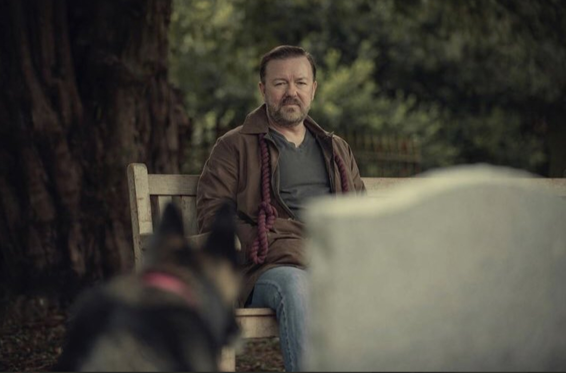 Capture décran 2022 01 20 à 20.12.40 - After Life - Saison 3 : les internautes émus par l'ultime chapitre porté par Ricky Gervais (Avis)