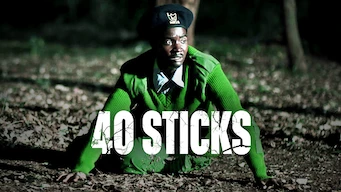 40 sticks