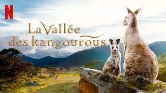 La vallée des kangourous