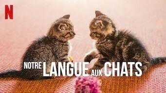 Notre langue aux chats