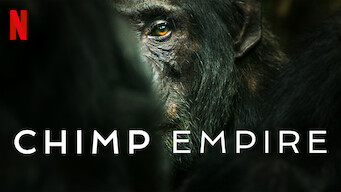 L'empire des Chimpanzés (Chimp Empire) - Documentaire