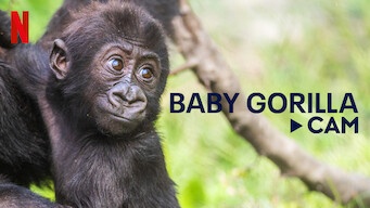 Baby Gorilla Cam - Série documentaire