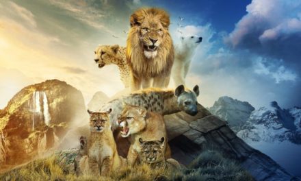 Prédateurs : Tom Hardy nous raconte le règne animal dans un documentaire aussi cruel que saisissant sur Netflix (+ Avis)