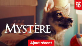 mystere netflix 276x156 - Mystère
